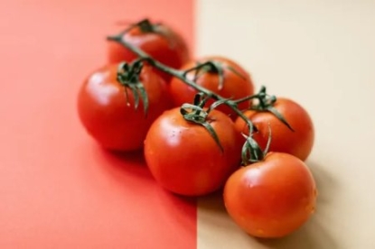 Pomidorning ko‘pchilikka noma’lum 7 ta foydali xususiyati